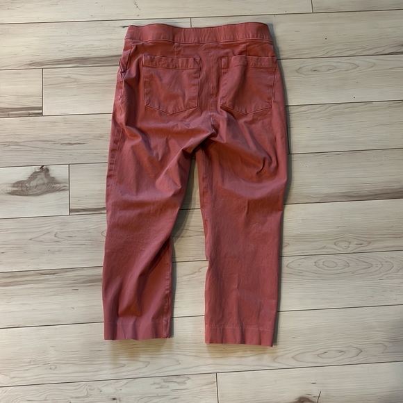 SPANX On-The-Go Ankle Slim Straight Pant (Medium/ Petite) Terracotta/ 24” inseam - Picture 7 of 8